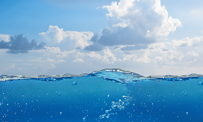 水产复合蛋白产品的营养价值评估：氨基酸组成、消化率与养殖动物生长影响