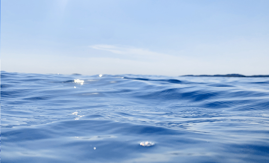 水产配合饲料提升养殖效益：关键营养指标与投喂策略解析